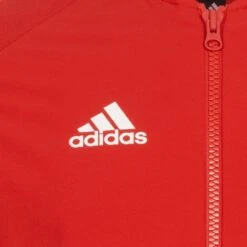 Adidas VRCT Hommes Veste FI4681 -GIVOVA Soldes Boutique FI4681 4 neu 1280x1280